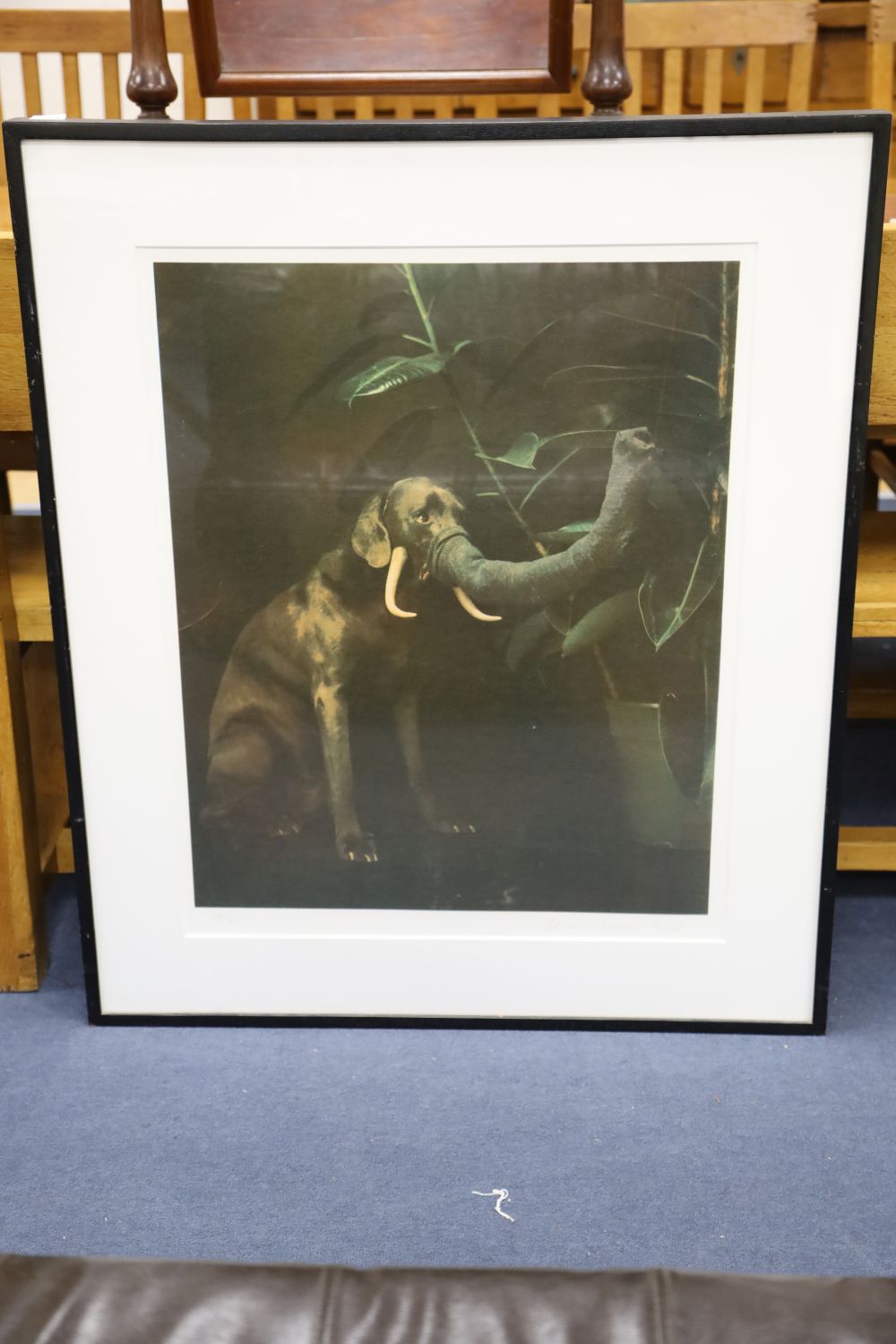 William Wegman (1943-), photographic silk screen, Elephant Dog, signed and dated 1988, 48/96, 73 x 58cm
